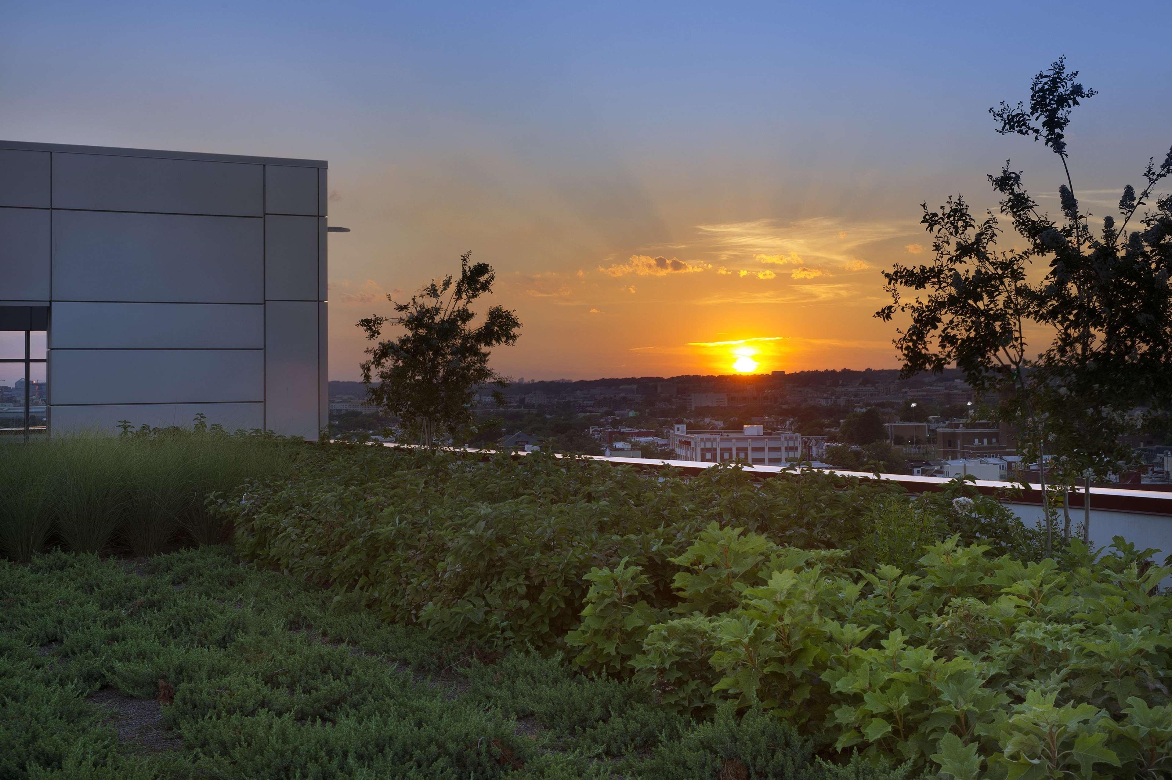 Hampton Inn Washington Dc Noma Union Station מראה חיצוני תמונה